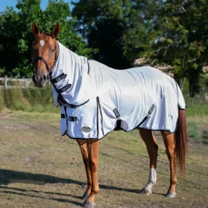 Fly Rug Wash