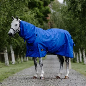 Outdoor Rug Wash