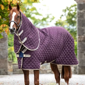 Stable Rug Wash