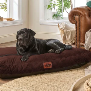 Dog Bed Wash