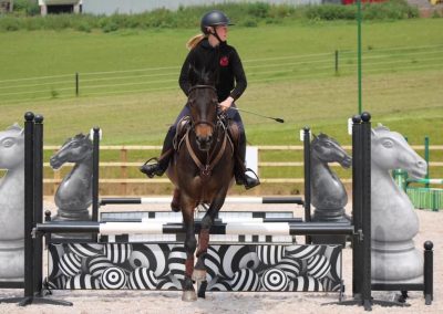 Woman jumping over some zebra striped horse jumps on a brown horse.