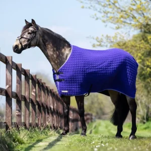 Cooler/Sweat Rug Wash