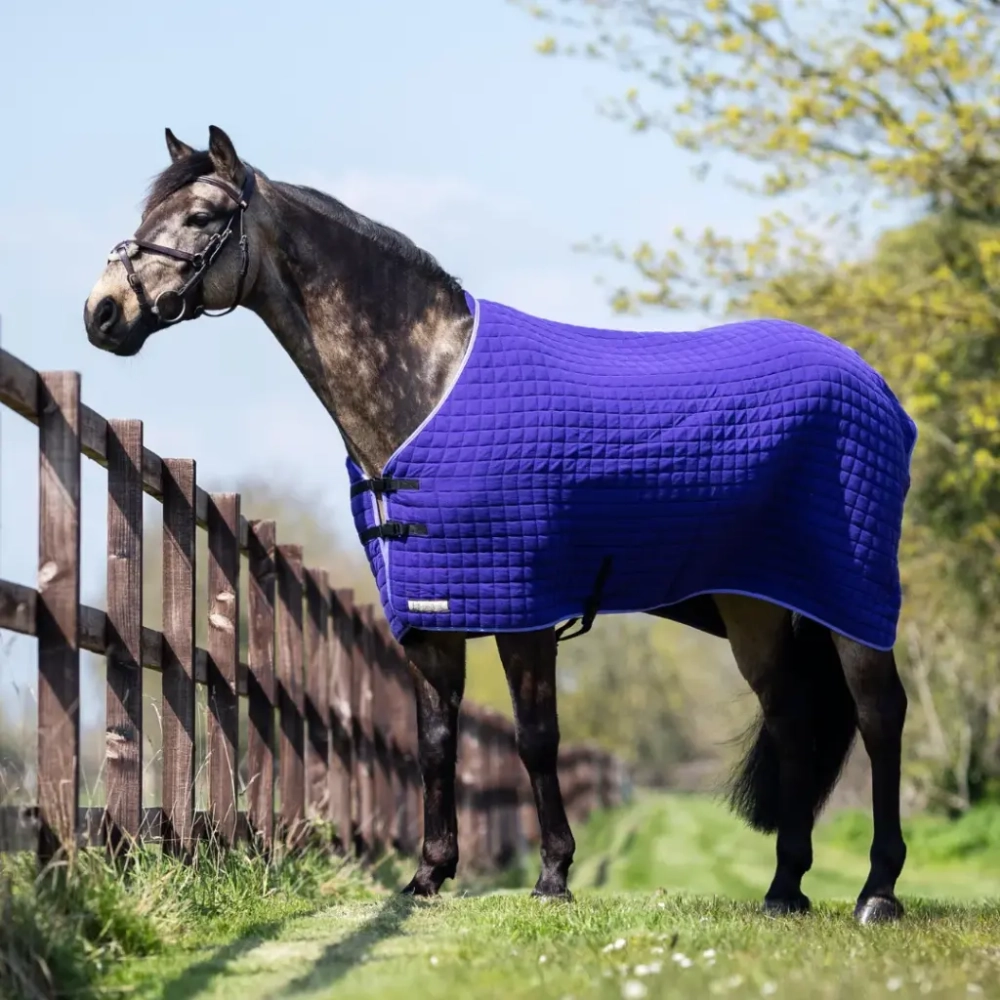 Cooler/Sweat Rug Wash